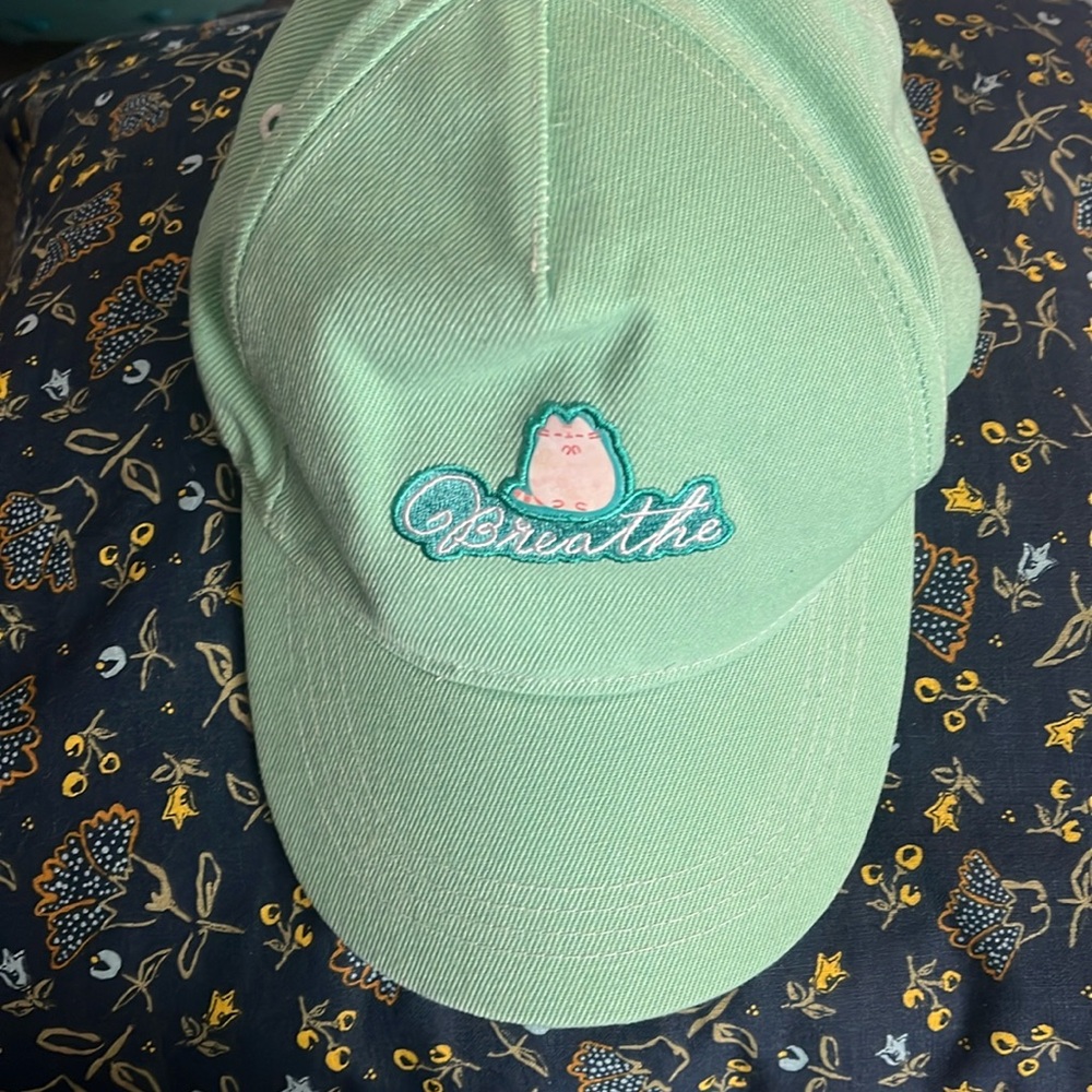 Brand new pusheen hat